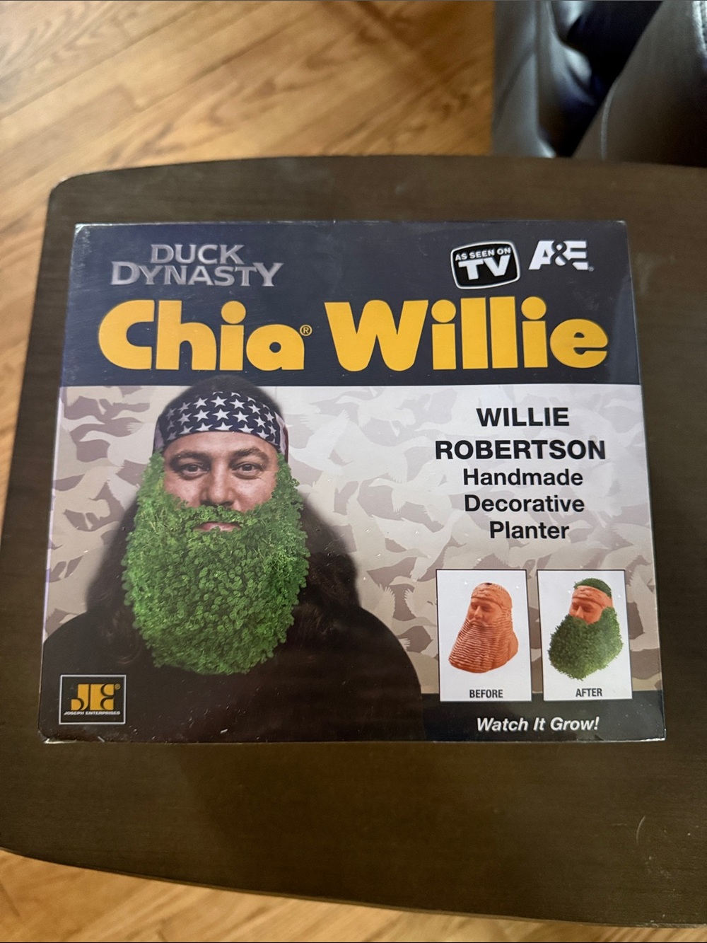 Duck Dynasty Chia Willie Handmade Decorative Planter - Green Beard